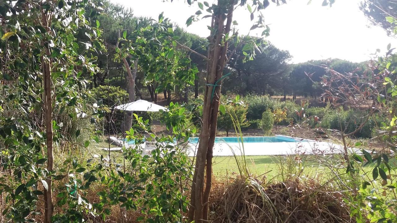 Casa Rio Da Prata Villa Aldeia do Meco Ngoại thất bức ảnh